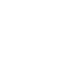 Blue Fox Entertainment
