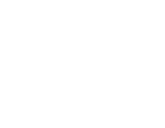 Level Film