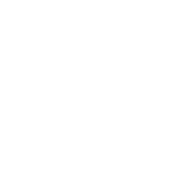 Sinking Ship Entertainment